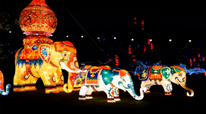Guida_Londra's tweet photo. Continua il @MagicalLantern #festival, fate un salto questo week-end!
https://t.co/RlnVHBxZ0z
#london #holiday https://t.co/EM5ZPeNIKb