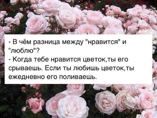 Открытки 2017, картинки с надписью какая тебе разница