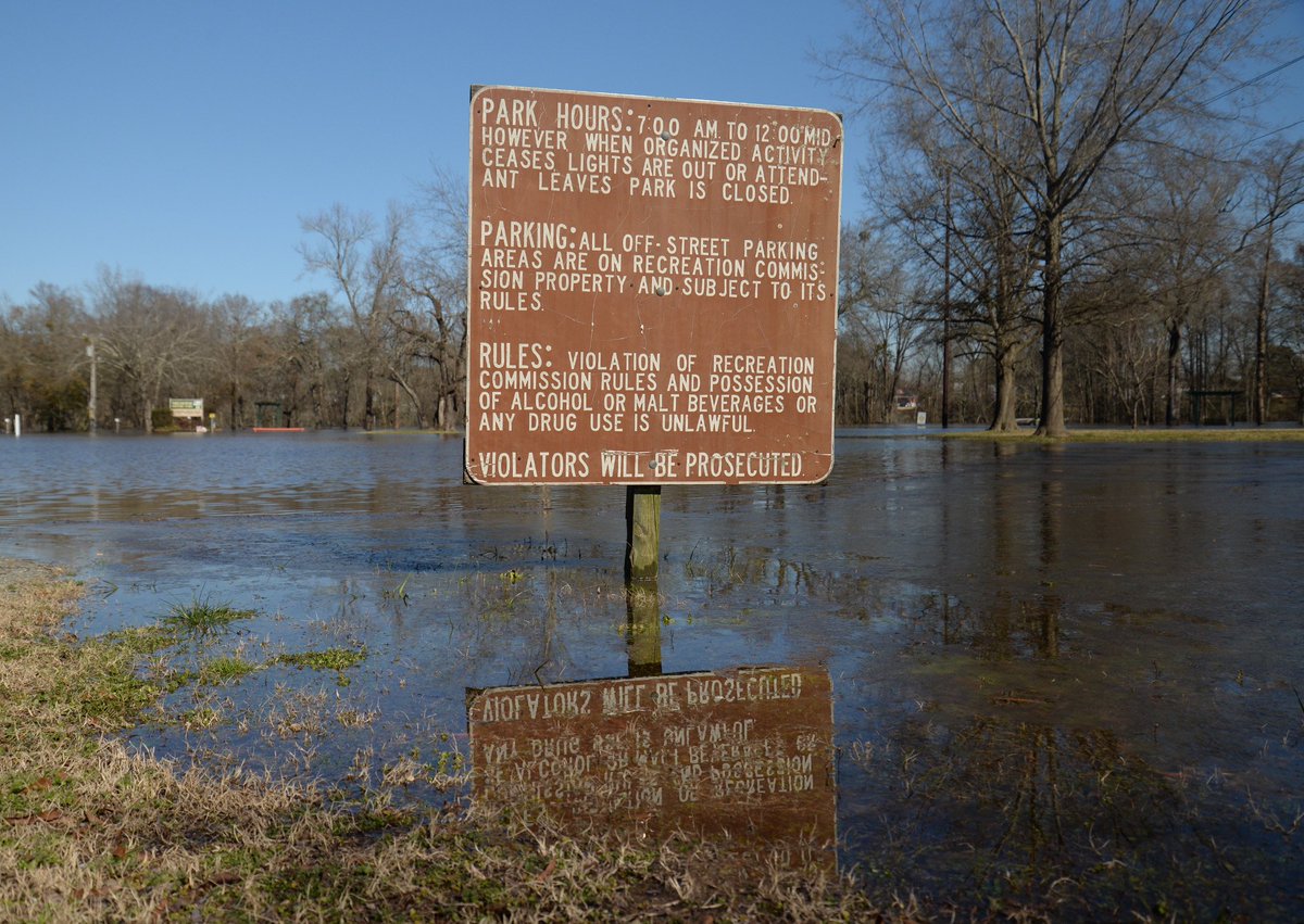 ZachFrailey's tweet image. A couple frames from Neuseway Park this morning. The Neuse River is quite high in Kinston.