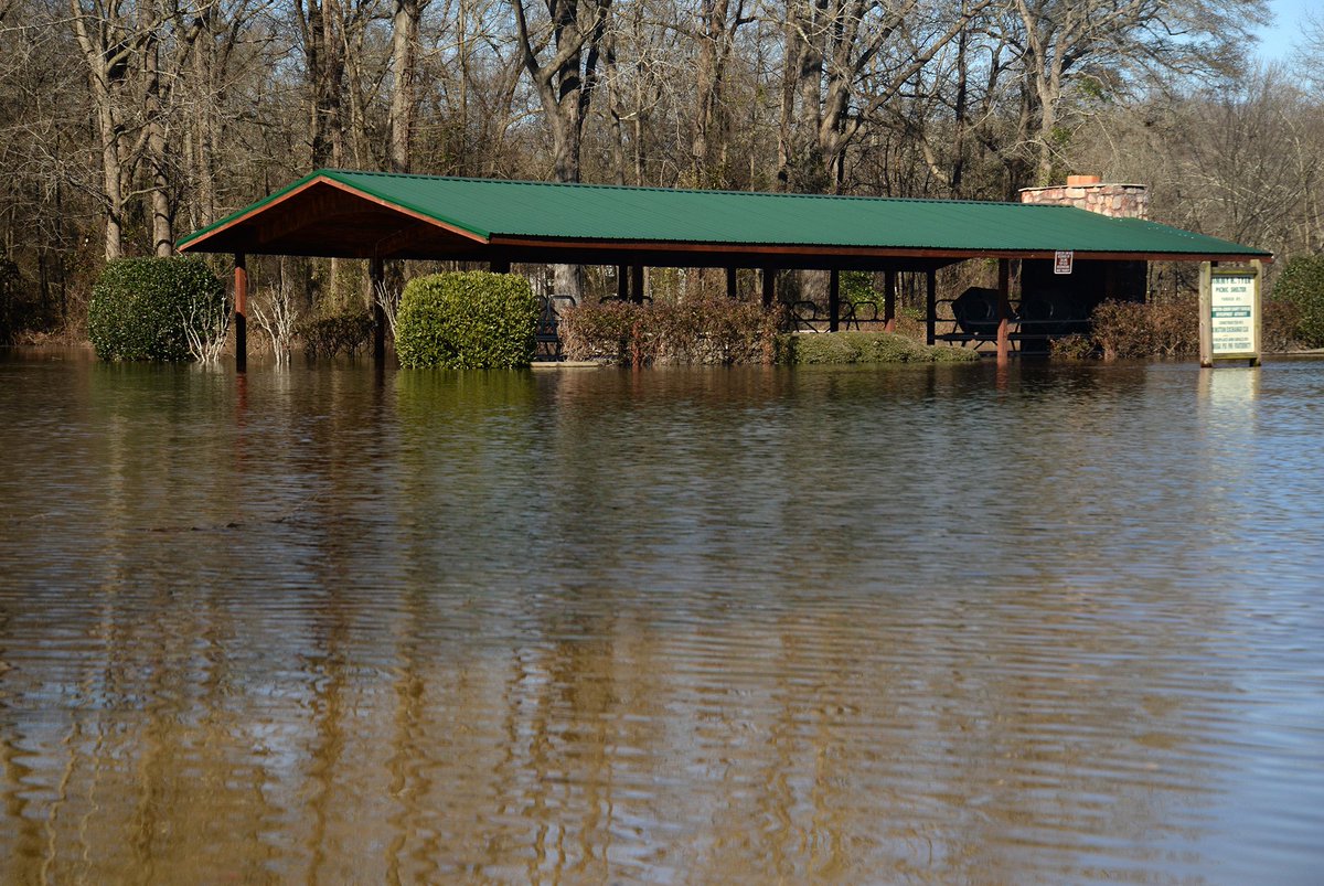 ZachFrailey's tweet image. A couple frames from Neuseway Park this morning. The Neuse River is quite high in Kinston.