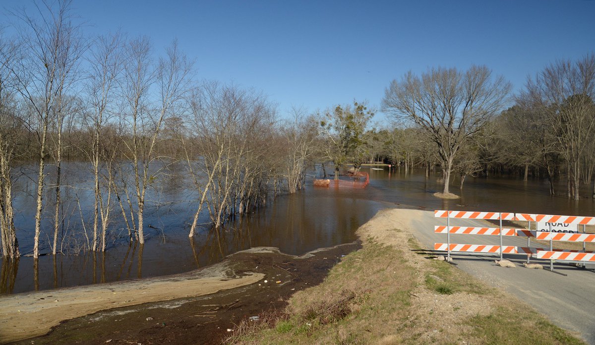 ZachFrailey's tweet image. A couple frames from Neuseway Park this morning. The Neuse River is quite high in Kinston.