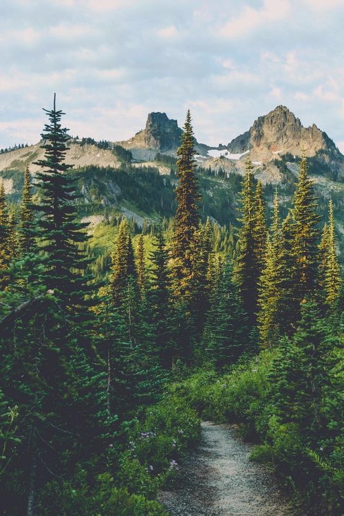 messybundays's tweet photo. can't wait for this in summer 2k16 ๐ญ #hahitsstillfebruary #andsnowing https://t.co/u9dW7HYd0z