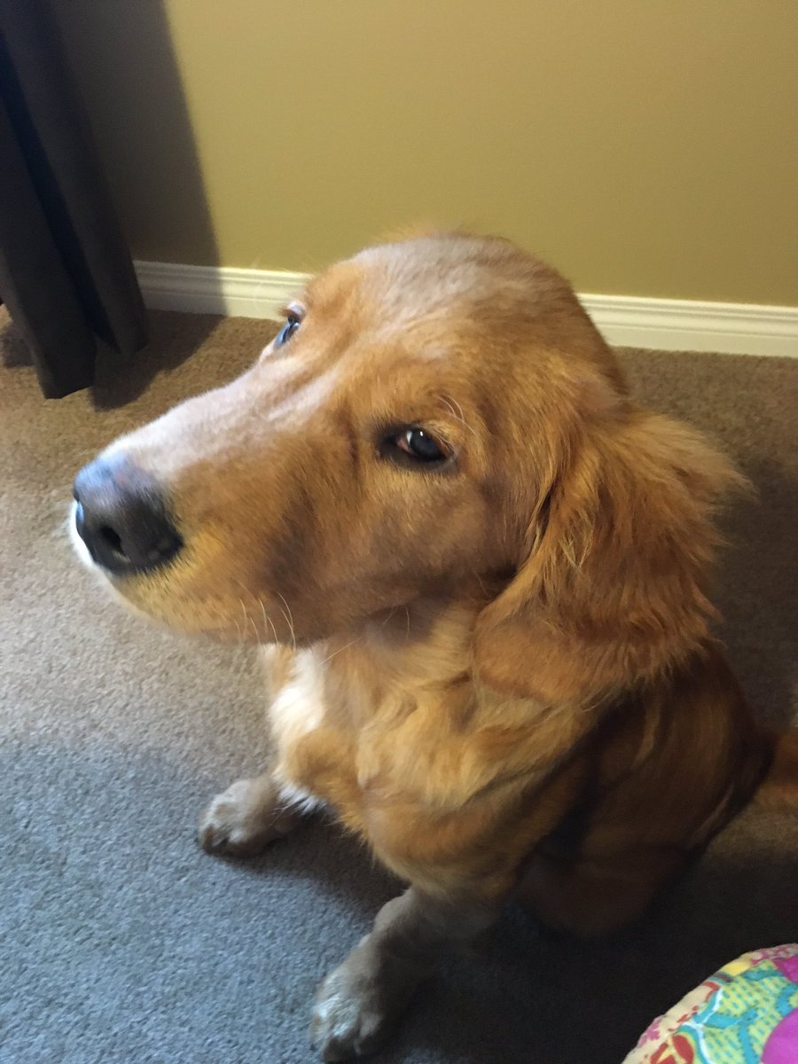 reynles44's tweet image. #RD such a awesome buddy#