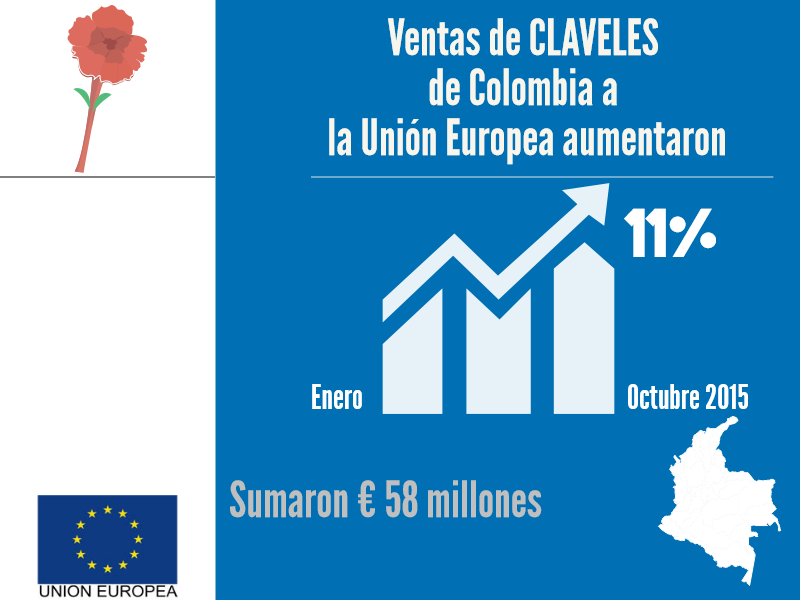 UEenColombia's tweet image. Ventas de claveles de Colombia a la #UE aumentaron 11% entre Enero-octubre de 2015 y sumaron 58 millones de euros