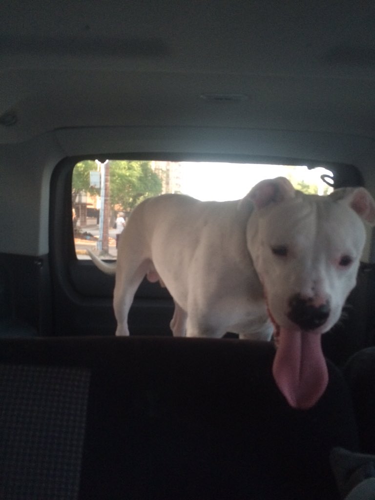 Julio_C_Faria's tweet photo. Ya grande Coco https://t.co/YJ9TugfTTJ