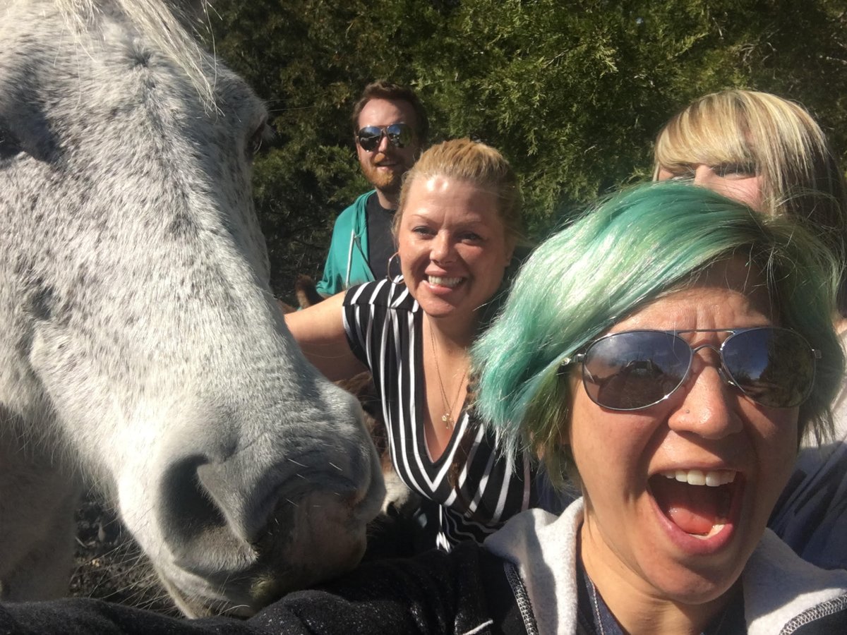 DropVB's tweet image. So beautiful in @CityofRockwall today, we decided to take a team walk! #team  #ThursdayTreat #horsesoftwitter #yes