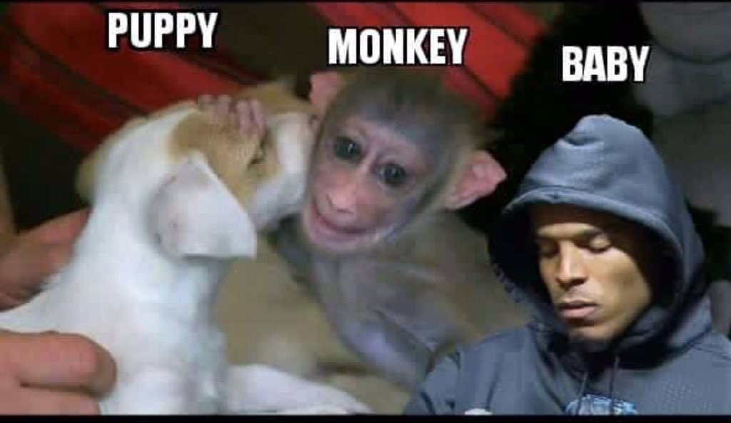 Sunnie3Ray's tweet photo. @SpeedyCalvin @bigvox @BillBubbaBussey @helmsey_mhelms @AdlerDude @greg__burgess  &amp; UR welcome😂 https://t.co/25f1aZfRq4