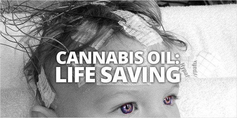 IndustryCanna's tweet photo. Great read! This is an incredible story! https://t.co/SYadjfyDbH https://t.co/yzrG95JcuE