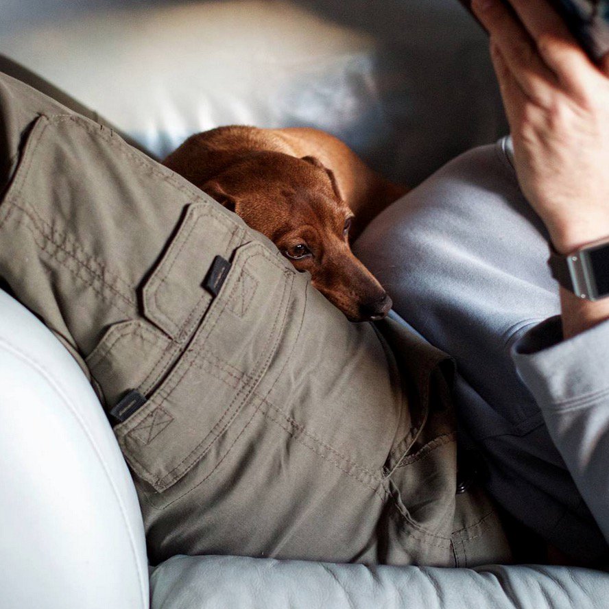 Purina on Twitter: "If I fit...I sit. Down time is # ...