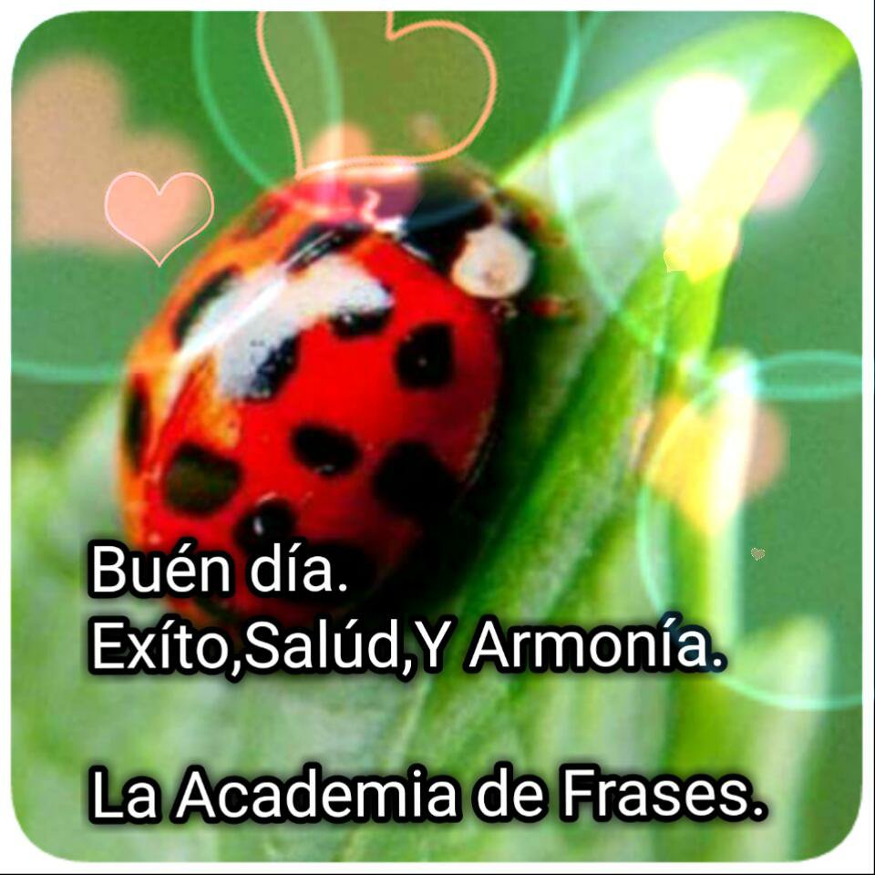 acadfrases's tweet photo. #FotoRus Android #Hoy #LaAcademiaDeFrases https://t.co/4YRJYDNUvg