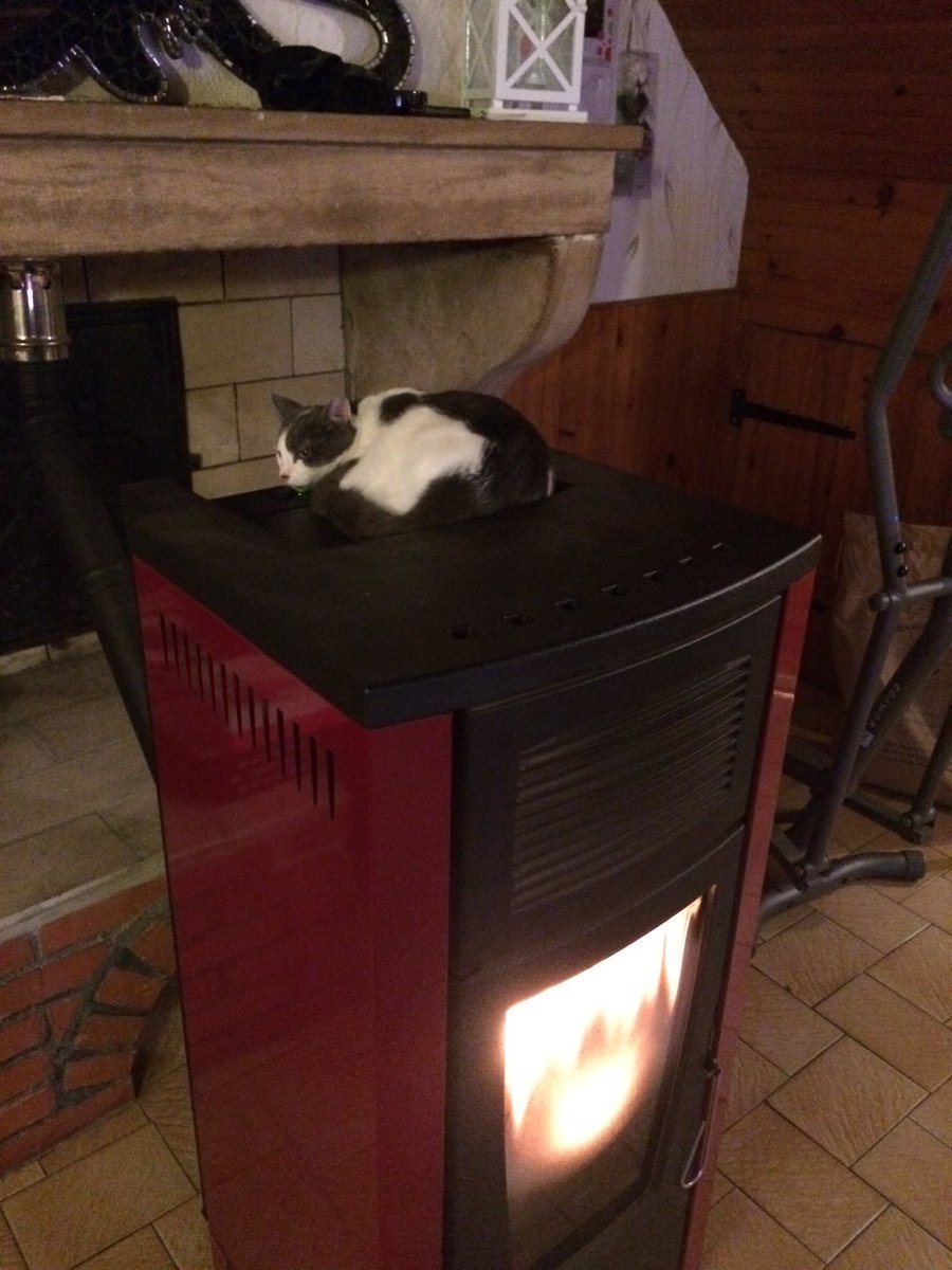 flashthecat21's tweet photo. Bien au chaud 😺😺 @Elverojaguar https://t.co/dYGQBHNXDf