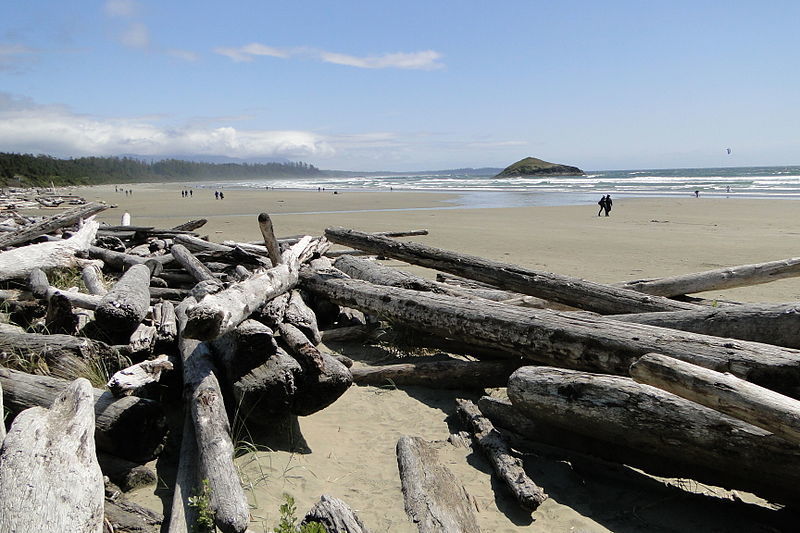 atlasobscura's tweet photo. FOUND: a human foot on a Canadian beach https://t.co/1ngNzSXK63 https://t.co/5G9DLHtzQo