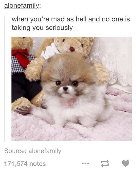 Grace_Erika_'s tweet photo. Current mood: https://t.co/3eLI1IRhxL