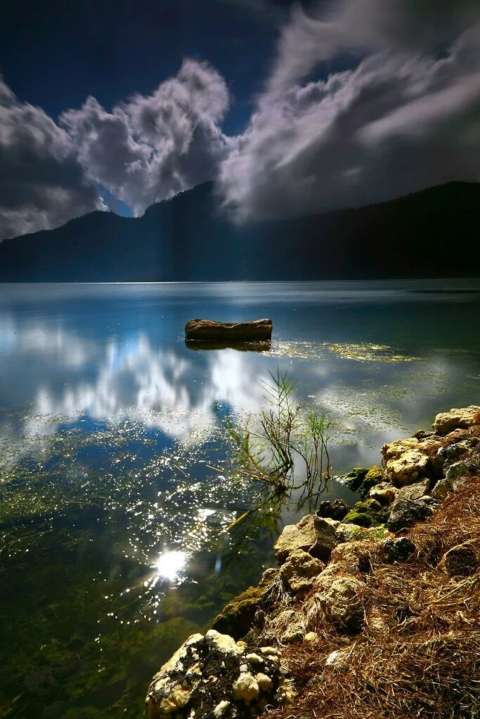 Can Dalöz (@candaloz) on Twitter photo 