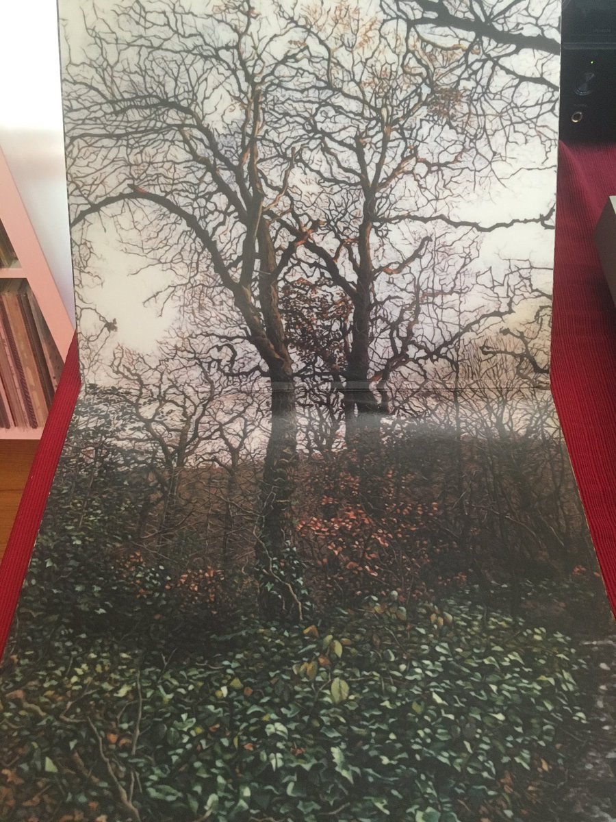 BeardedSteven's tweet image. Quickspace - Precious Falling. On two thick vinyl stereo LP&apos;s. #Quickspace #Vinyl