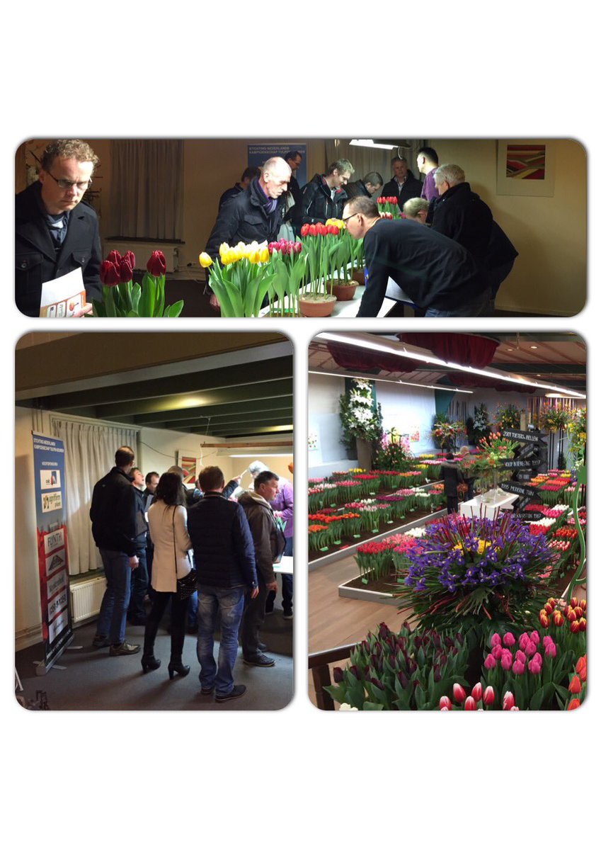 Pietvriend's tweet photo. Veel drukte bij de #tulpenkeuring #driebanflora . De show nog te bekijken t/m zondag https://t.co/toHh8qKdXl