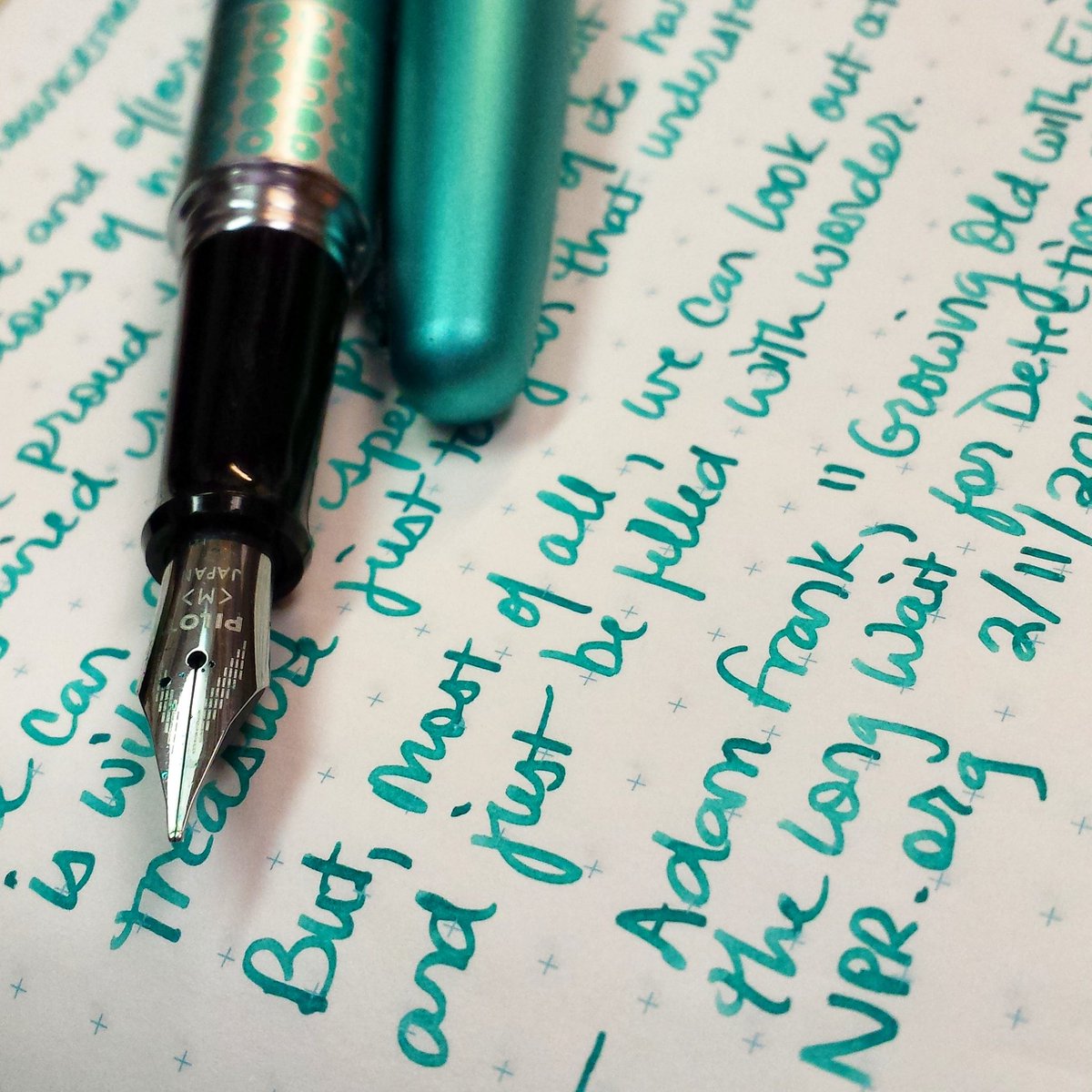 FaustineK tweet media