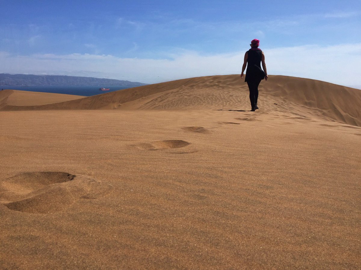 itsmetheresac's tweet image. A5 took a bus from Valparaiso, Chile to dunes of Concon and walked around. Enjoyed some peace + quiet #CultureTrav