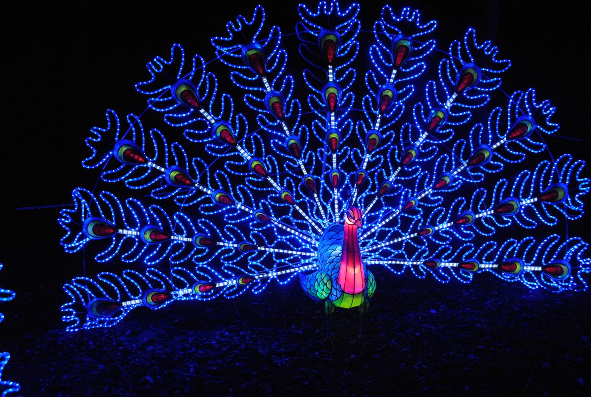 Like a wonderland. bit.ly/1PFSEZQ  
#MagicalLanternFestival #London #ChineseNewYear @Chiswick_House.