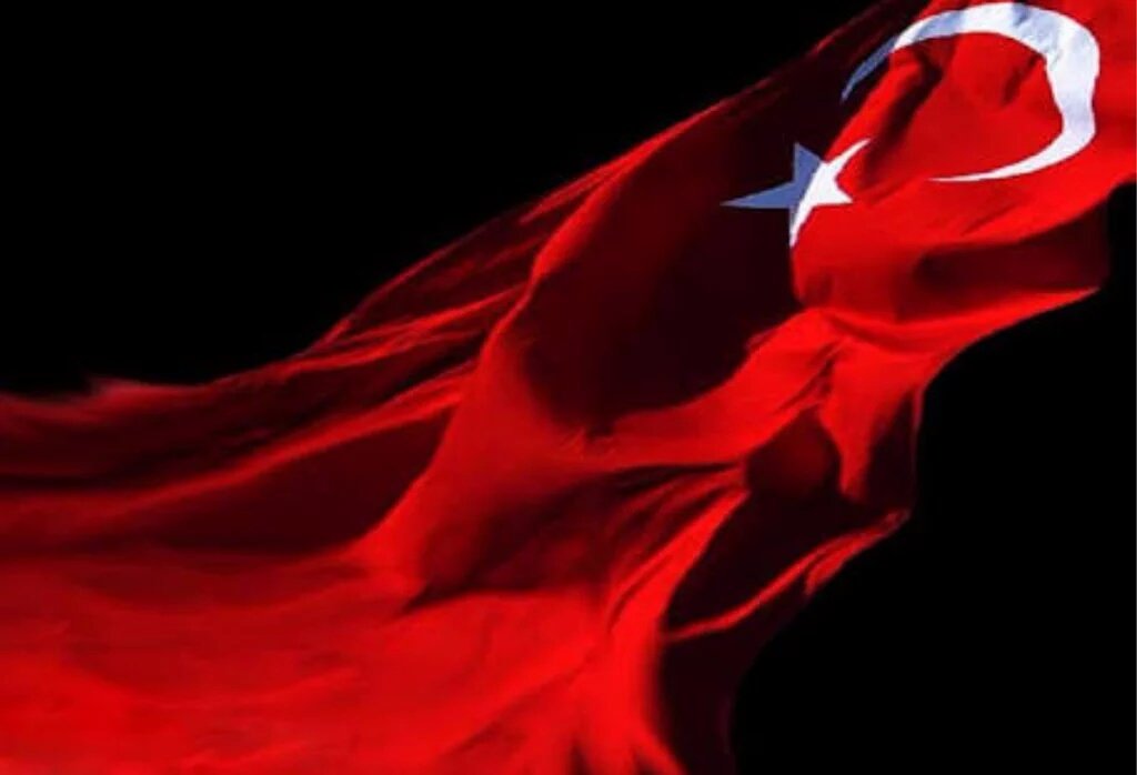 haydin tweet media