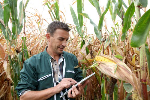 AgNetWest's tweet photo. CornPAC Launches Website, Preps for Auction in New Orleans https://t.co/RgghmaAuRH @NationalCorn #CornPAC https://t.co/yoneFzRAID