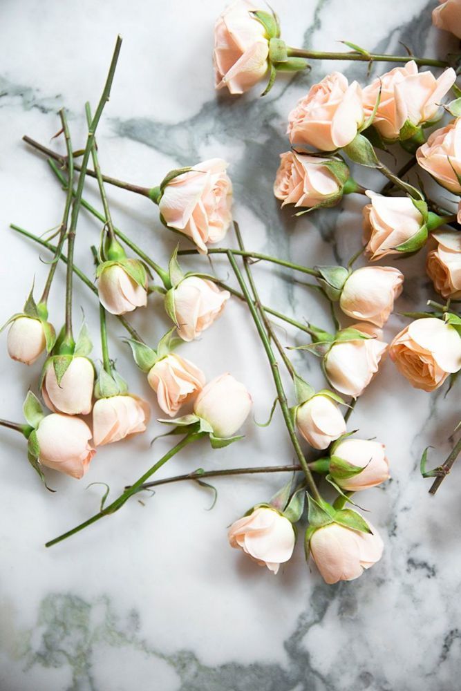 dominomag's tweet photo. Your guide to making cheap flowers look expensive: https://t.co/vuOzmjJvxt https://t.co/M4QUCw2qIi