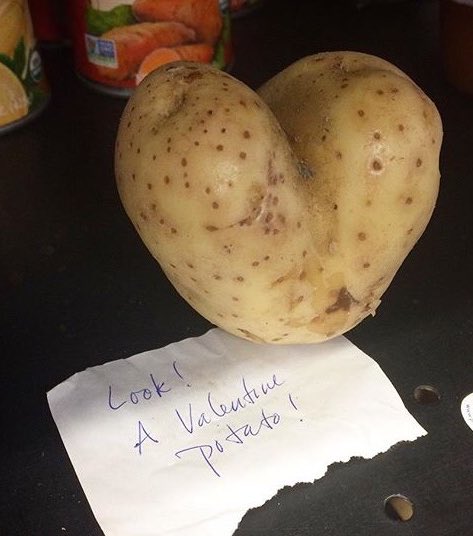 UglyFruitAndVeg's tweet photo. The Valentine Potato ❤️ #SpudLove by @taibi_mastelbowers on IG https://t.co/TSRrbkLZM1