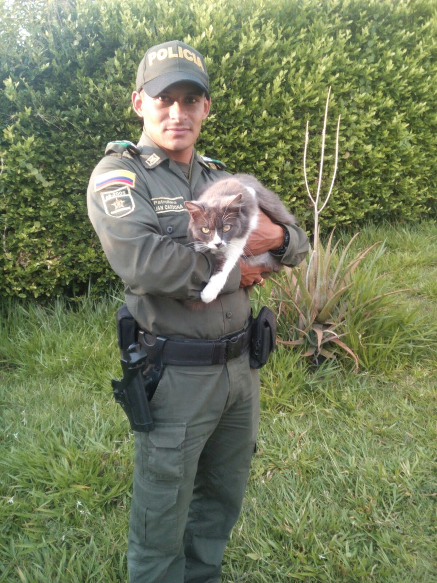 PoliciaPereira's tweet photo. Seguimos recibiendo fotografias de nuestros compañeros en pro de la campaña #YoProtejoLosAnimales https://t.co/WFCQhmn8Co