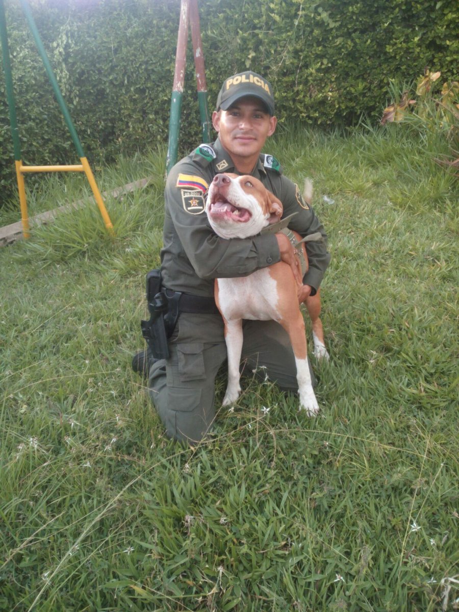 PoliciaPereira's tweet photo. Seguimos recibiendo fotografias de nuestros compañeros en pro de la campaña #YoProtejoLosAnimales https://t.co/WFCQhmn8Co