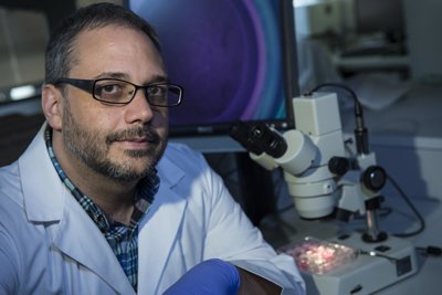 A New Heart Patch for Infants + Made from Living Tissue ow.ly/Ye9nh <a href="/dubiousjj/">Jeff Jacot</a> <a href="/RiceUniversity/">Rice University</a> #medtech