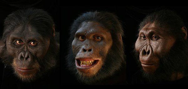 ScienceArtBlog's tweet image. RT @Qafzeh

A Closer Look at Evolutionary Faces by Paleo-Artist John Gurche @SmithsonianMag smithsonianmag.com/science-nature…