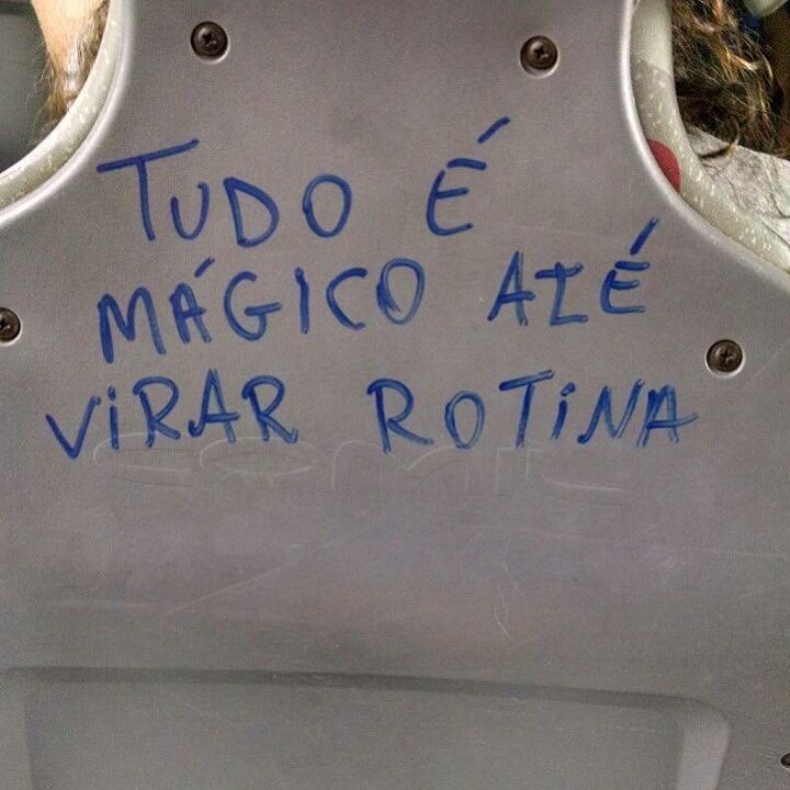 carolpaiva(BETA)#SDV (@carrolpaiva) on Twitter photo 