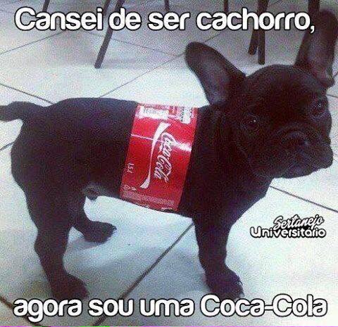 carolpaiva(BETA)#SDV (@carrolpaiva) on Twitter photo 