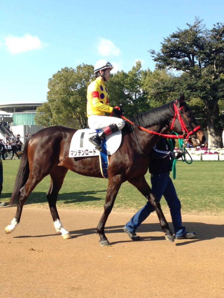 花田大昂 Busca De Twitter Twitter