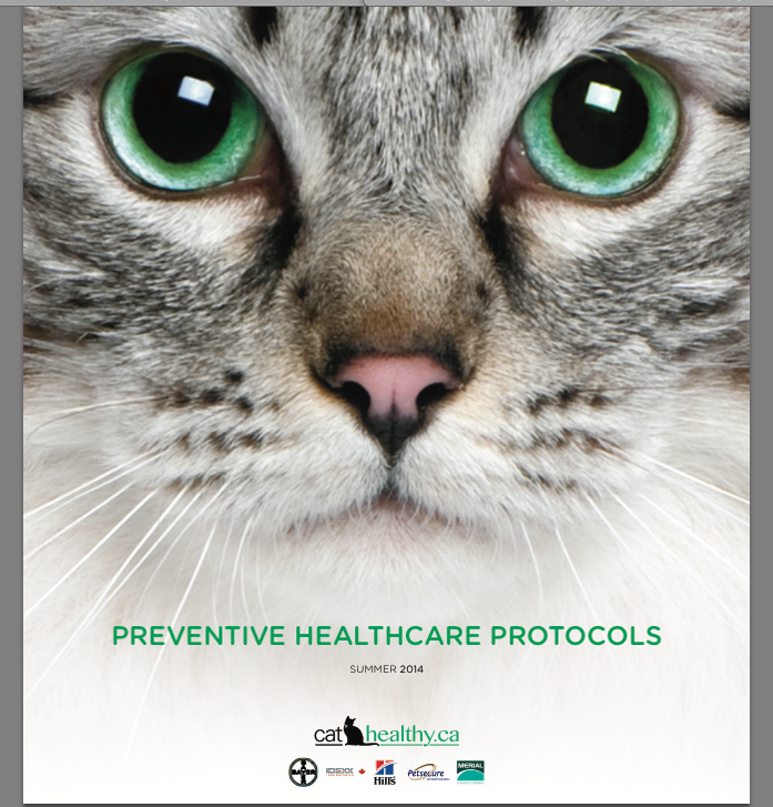 Lizcatvet's tweet photo. @cat_healthy @OnVetMedAssoc #OVMA2016 Cat Tip #7 Use the Protocols and practice great feline preventive healthcare! https://t.co/heIZH6a8KO