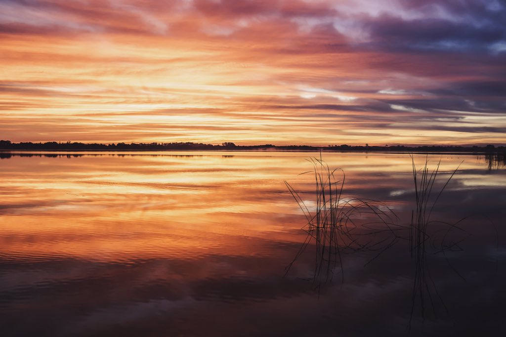 AndrewHektor's tweet photo. Uncropped Winter haven taken with the Leica T #FasterT https://t.co/IytaHR6mcG