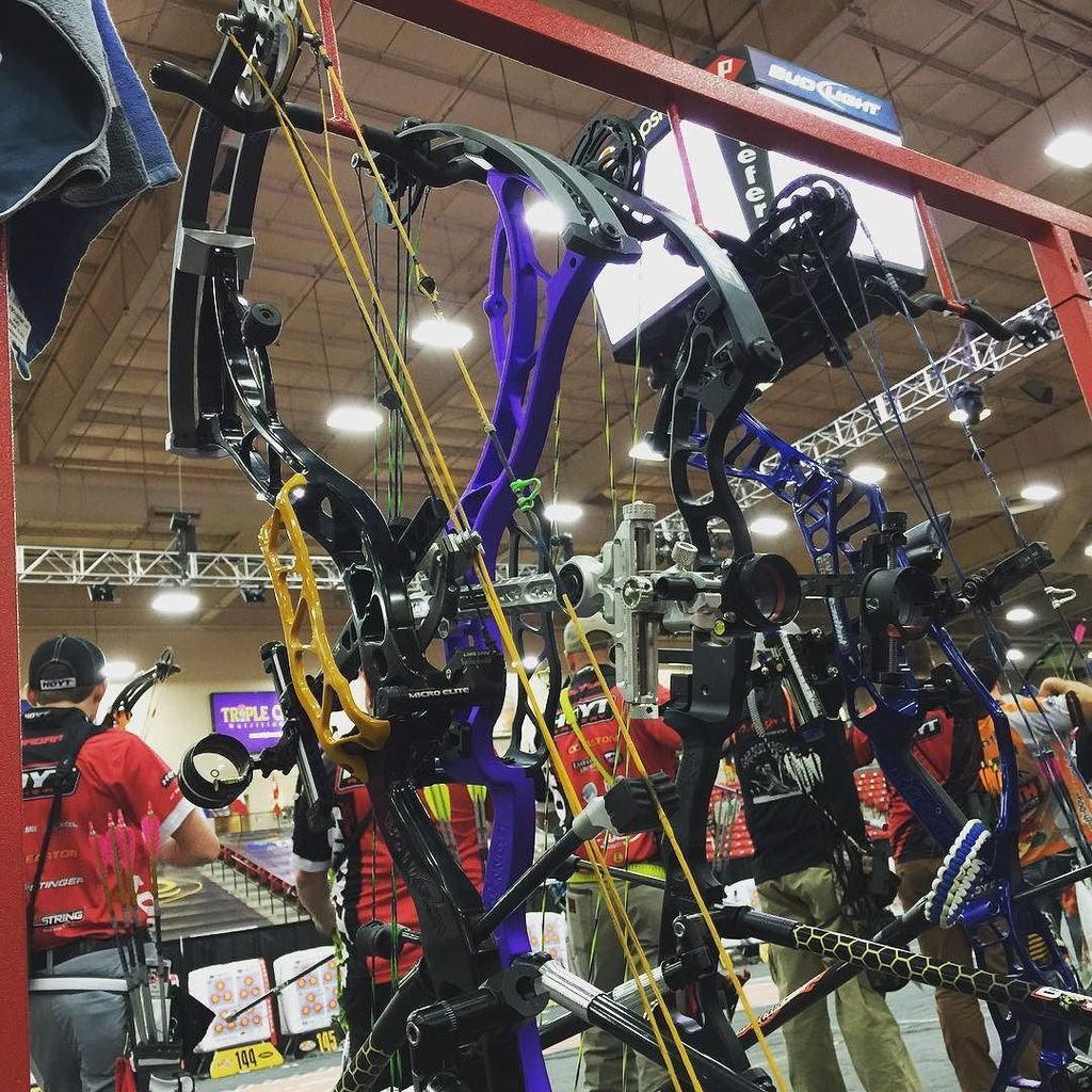 forgiss's tweet photo. Bumblebee is making me proud! #bowtecharchery #refusetofollow #sureloc #beestinger #zerobowstrings #vegasshoot2016 https://t.co/5hOrRmkbFi