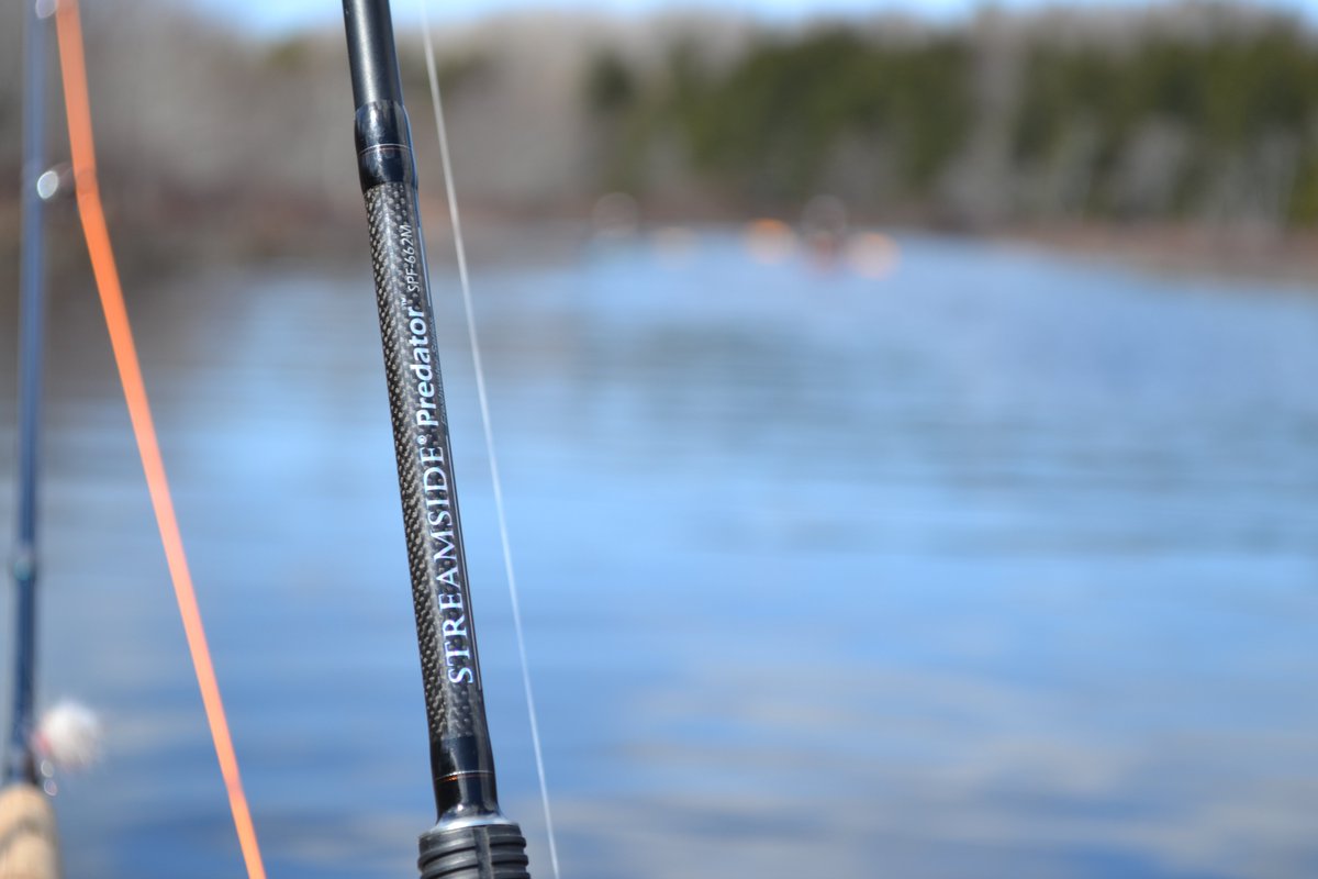 alwaysfishin1's tweet photo. #springfishing #PredatorRods @WeKeepYouFishin @KayakAnglerMag https://t.co/MOcl8Wry6i