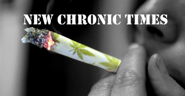 TheDarkStudy's tweet photo. BernieSanders wants to legalize marijuana, because his motto is #NotMeUs  https://t.co/QDvJLzJnou

#WeAreBernie https://t.co/qCzOuzbzpU
