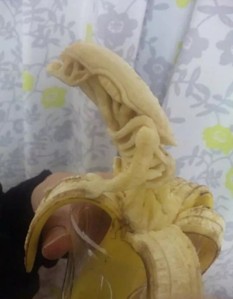 Elekhandro's tweet photo. @QRNOQ 
الفن بأستخدام الموز 🍌🍌 https://t.co/KJqtYG7v2T