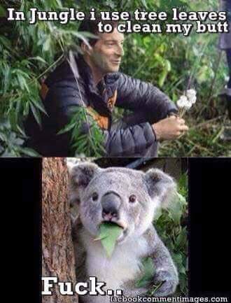 AdonisMan007's tweet image. 