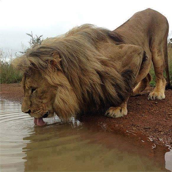 AdonisMan007's tweet image. 