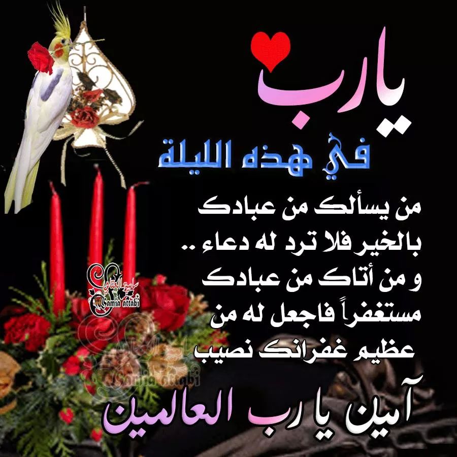 SamihaMaras's tweet photo. يارب https://t.co/A7x6WGCYrZ