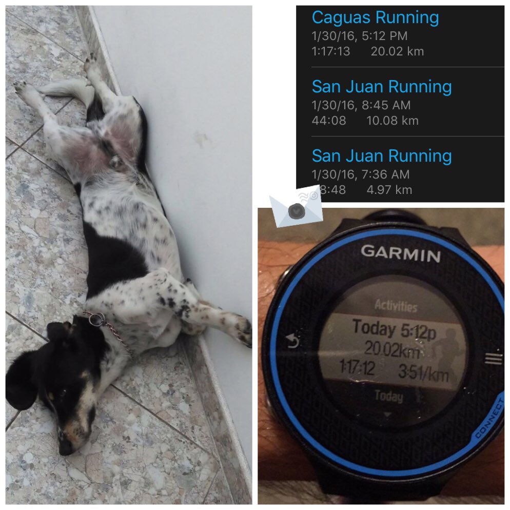 RunDiego's tweet photo. After 35 km running, So my body finish, #Go2Run #TrainHard #WinEasy @garmin_colombia #3seasons #4Dos #RunDreams https://t.co/jHk9xSCXOw