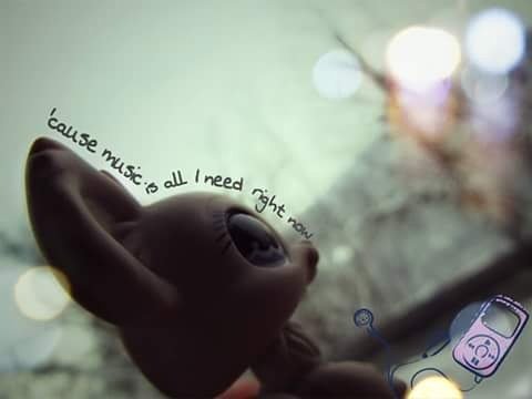 LpsBerryHunter's tweet photo. https://t.co/7d8NVqYgi7