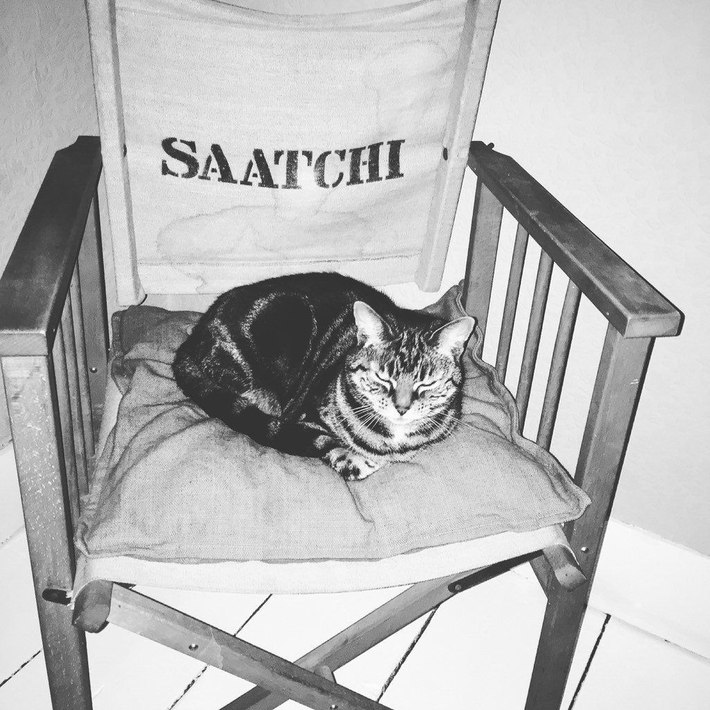 DigiBeast's tweet photo. For tonight's proceedings, I'll mostly be taking residence on the #Saatchi chair #directorcat #fatcat #advertising https://t.co/z6j0rikRVr