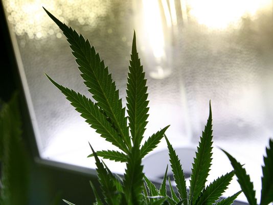 TheDarkStudy's tweet photo. Lawmakers push VA to let doctors recommend medical #marijuana https://t.co/RdYmNM2AyZ

#Cannabis #420 https://t.co/UDd43p2q5P