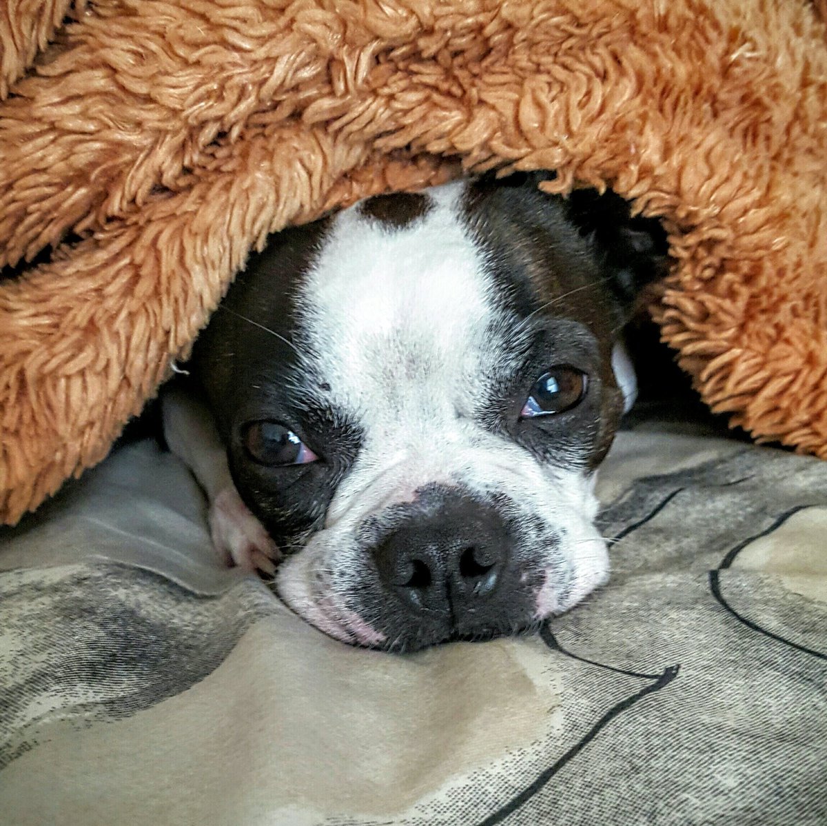 19bigr64's tweet image. I follow back follow me @19bigr64 @ItsEvieFritz and my friend 2