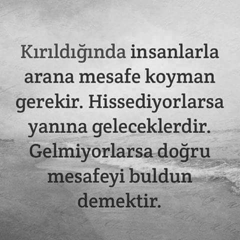 missliterati2's tweet photo. https://t.co/vJrjGZF9Gr
