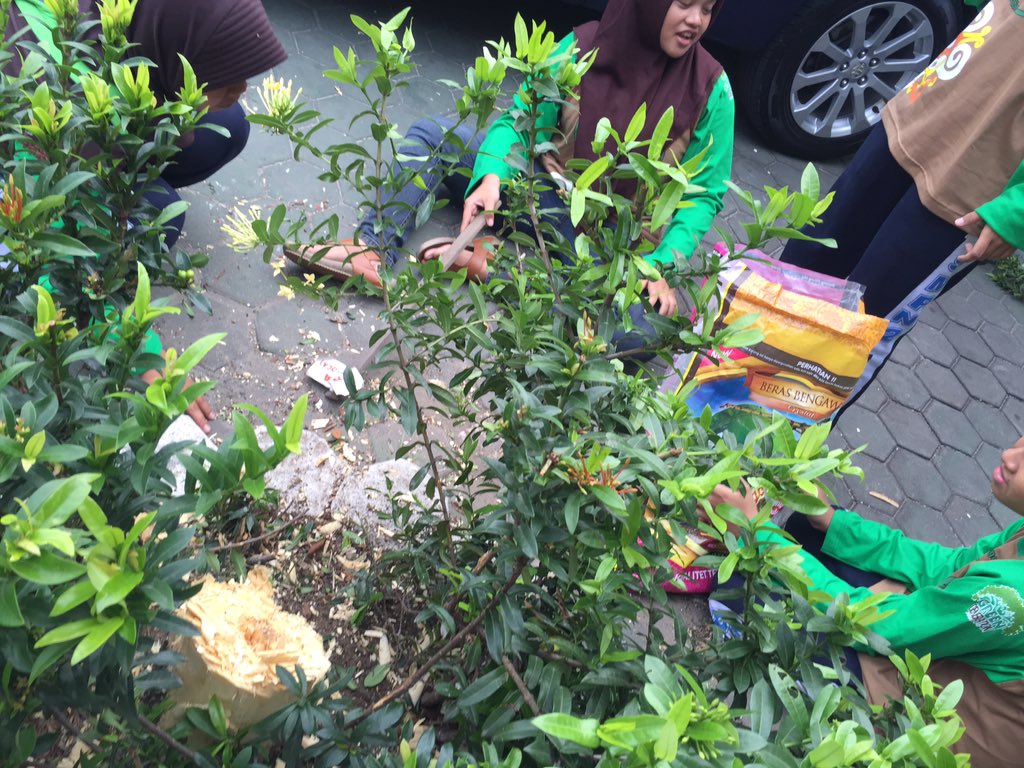 OSISSpanda's tweet photo. Kegiatan bersih bersih masal @FOBalikpapan https://t.co/JffsPyJ7ZQ
